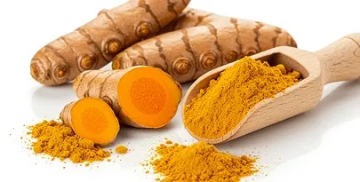 Fresh turmeric roots and orange turmeric powder on a wooden scoop