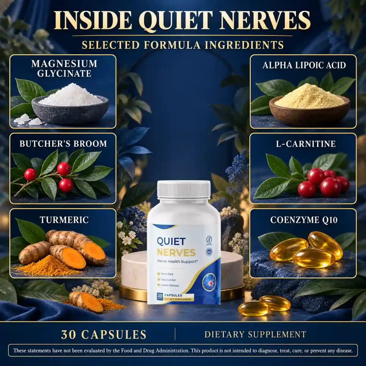 Brand graphic titled Inside Quiet Nerves showing six ingredient tiles around the bottle, with 30 Capsules and Dietary Supplement along the base
